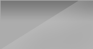 Reflex Silver metallic